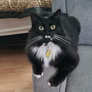 Fundraising Page: Queenie Taylor PAC Alum